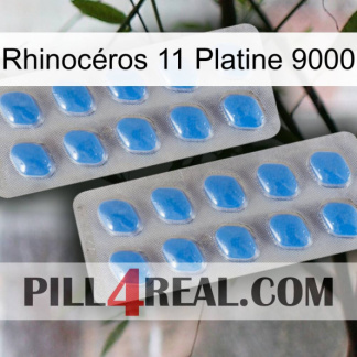 Rhinocéros 11 Platine 9000 23